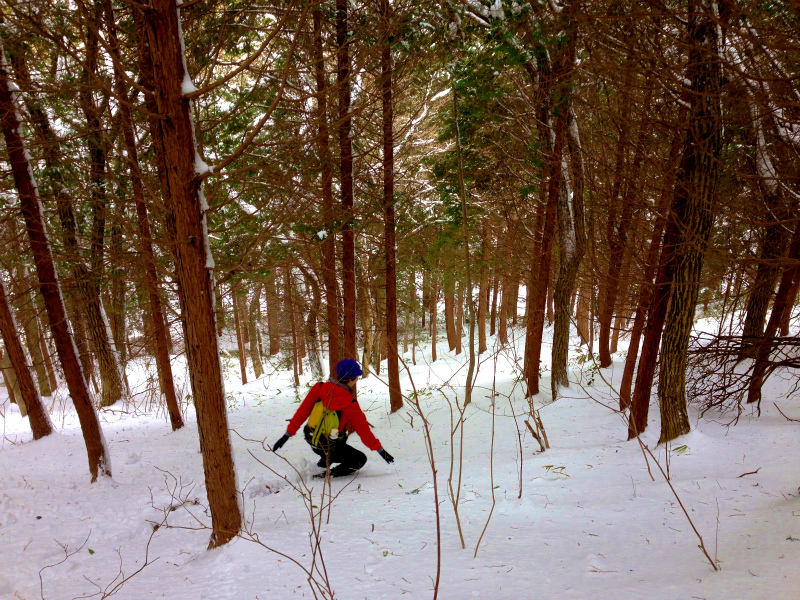 Snow Running in Mt.Rokko_b0220886_2338341.jpg