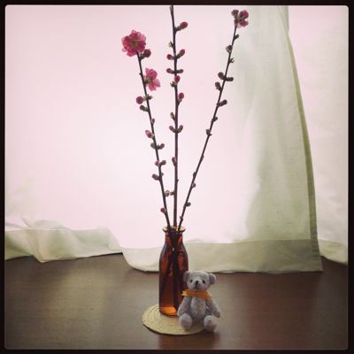 3月です。_b0065587_16402310.jpg