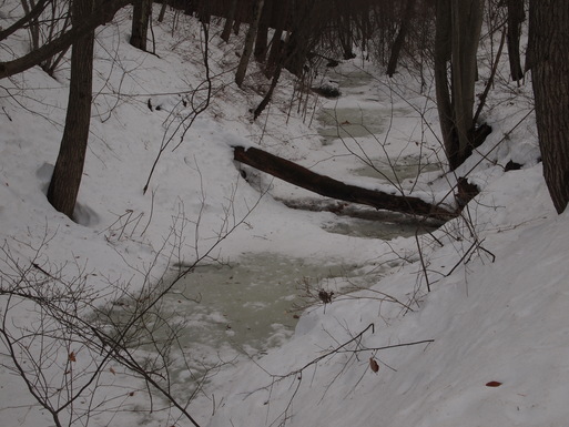 e0008887_16463787.jpg