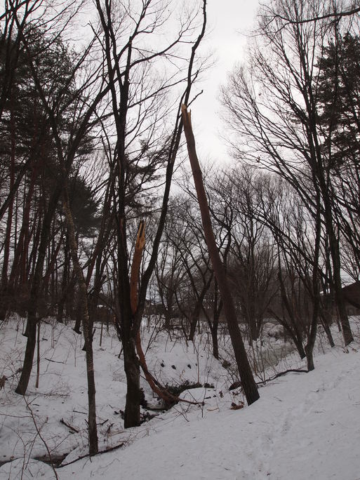 e0008887_16553945.jpg