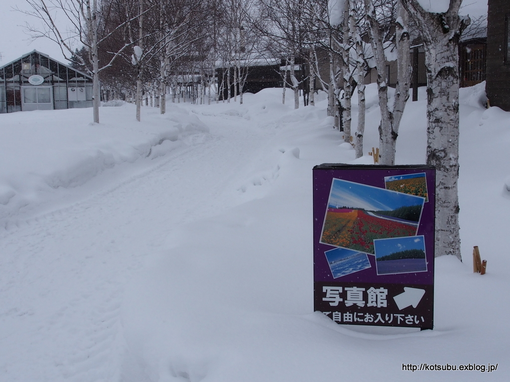 北の大地から・・・　富良野　ギャラリーフルールにて_e0195587_18362289.jpg