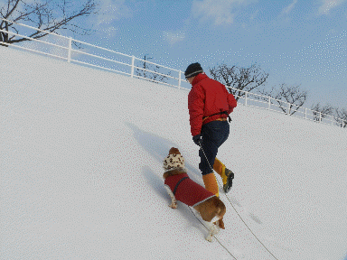 f0205887_102598.gif