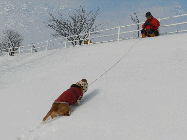 f0205887_1044175.gif