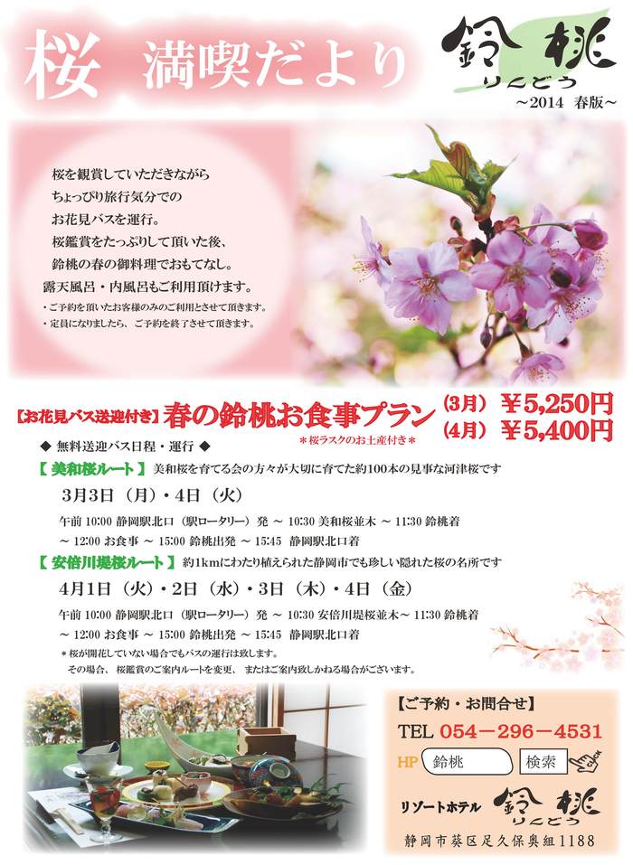 桜の季節～静岡市安倍川堤～_c0282391_931523.jpg