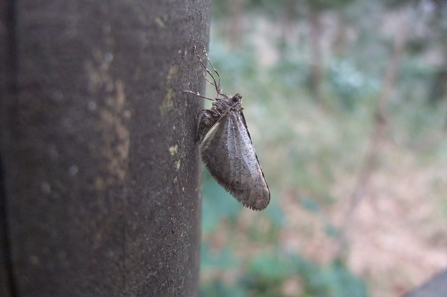 e0070891_22142860.jpg