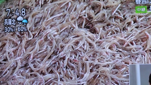 d0181492_1042720.jpg
