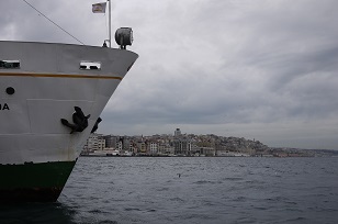 f0226293_034996.jpg