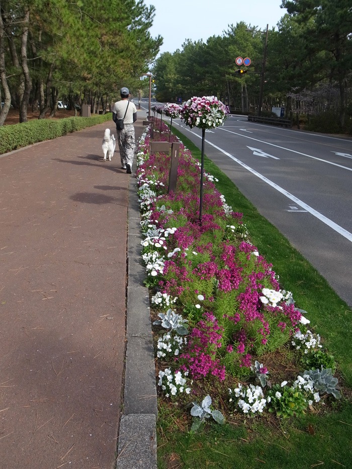 c0049299_22244417.jpg