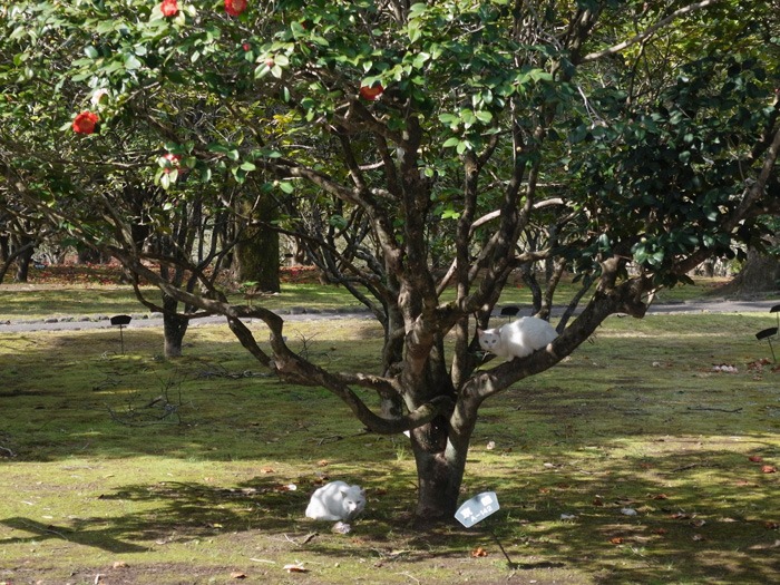 c0049299_2235225.jpg