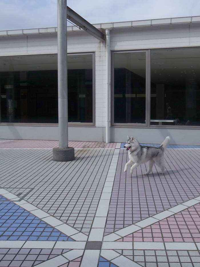 c0049299_22405748.jpg