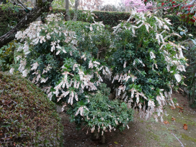 c0125501_2232953.jpg