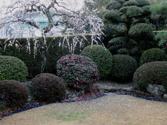 c0125501_22422175.jpg