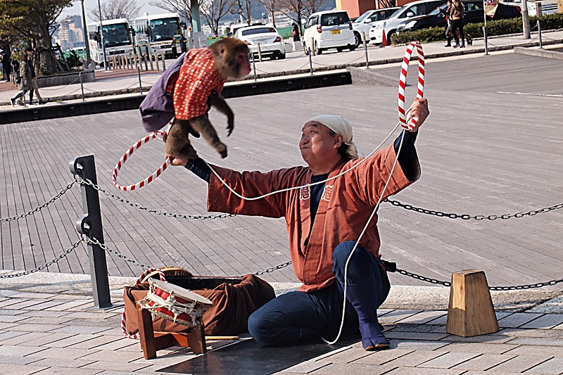 d0036708_202147.jpg