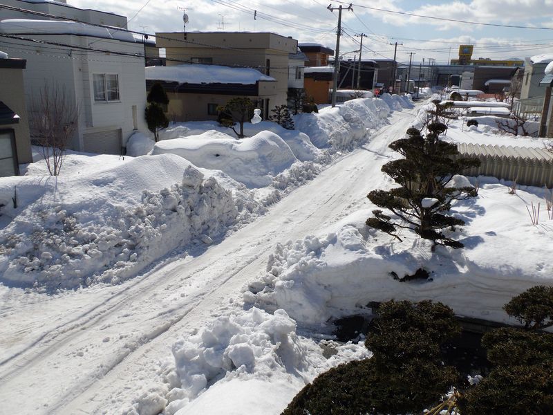 寒さは戻ってきたものの春への歩みは止まらない_c0025115_20504618.jpg