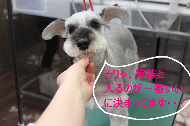 何回も寝ながら。。。_b0130018_3711.jpg