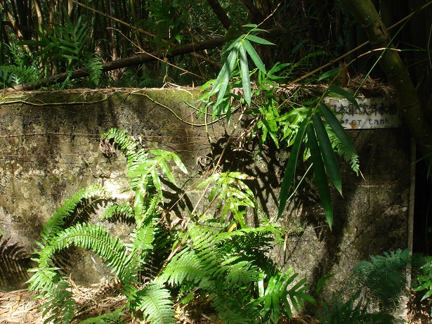 f0067122_14145087.jpg