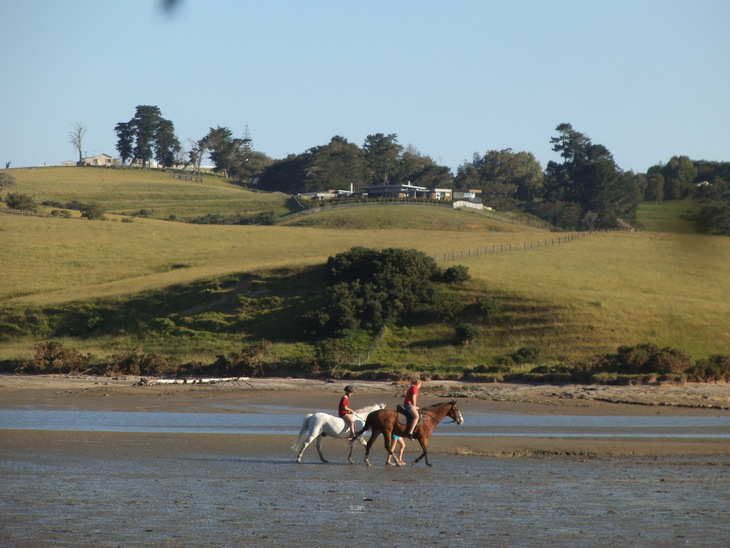 e0204927_1136125.jpg