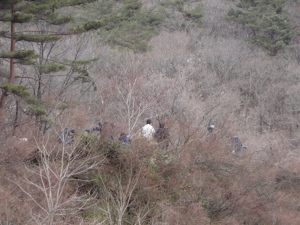 弥生二日_c0111229_17584198.jpg