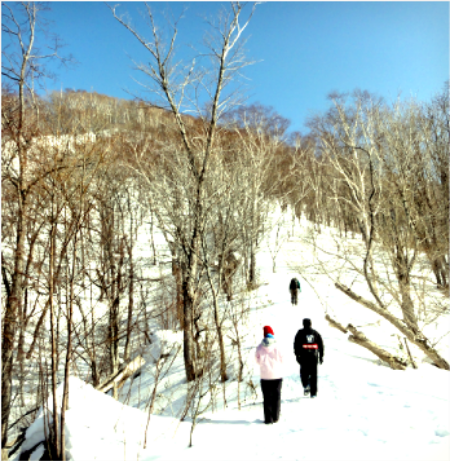 d0235336_20255947.png