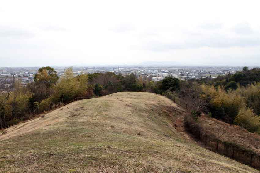 「美郷梅の花ウォーク」と「大代古墳見学会」♪_d0058941_21141415.jpg