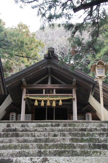 【高倉神社】　大楠の巨木と神功皇后お手植の「逆さ杉」の綾杉_c0011649_0341022.jpg