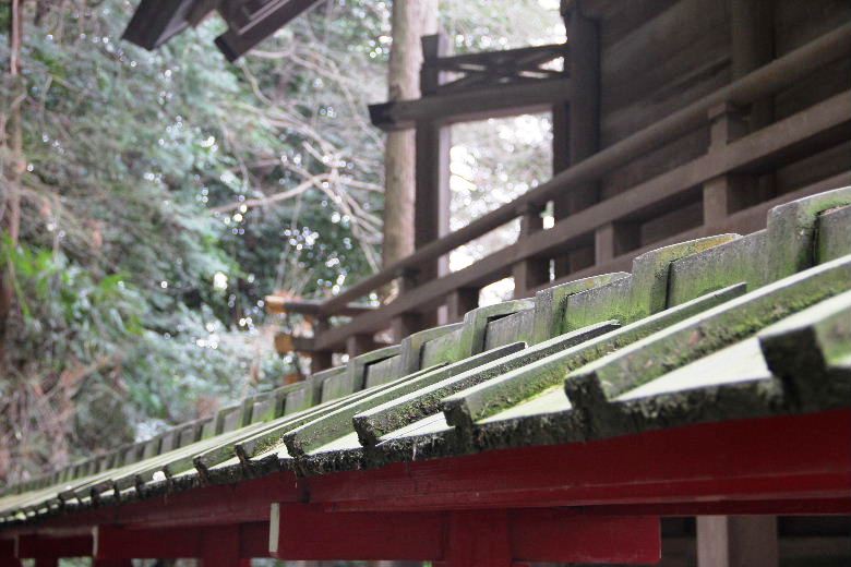 【高倉神社】　大楠の巨木と神功皇后お手植の「逆さ杉」の綾杉_c0011649_0472755.jpg