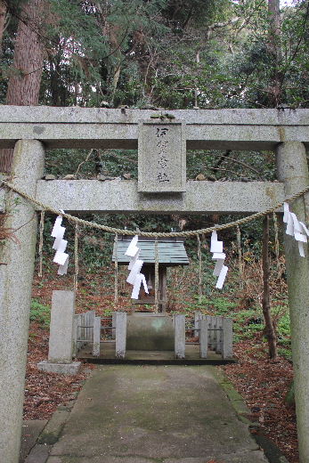 【高倉神社】　大楠の巨木と神功皇后お手植の「逆さ杉」の綾杉_c0011649_10241592.jpg