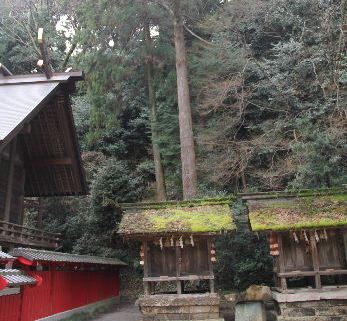 【高倉神社】　大楠の巨木と神功皇后お手植の「逆さ杉」の綾杉_c0011649_1062862.jpg