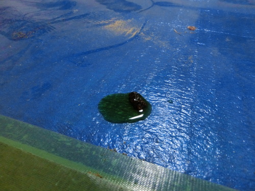 e0291149_21433980.jpg