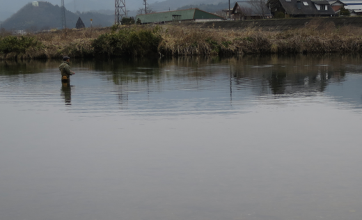 b0211960_1515067.png