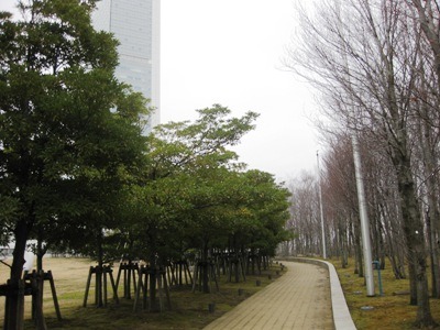 c0190960_10473647.jpg