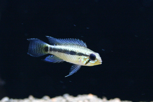 a0162263_18144218.jpg