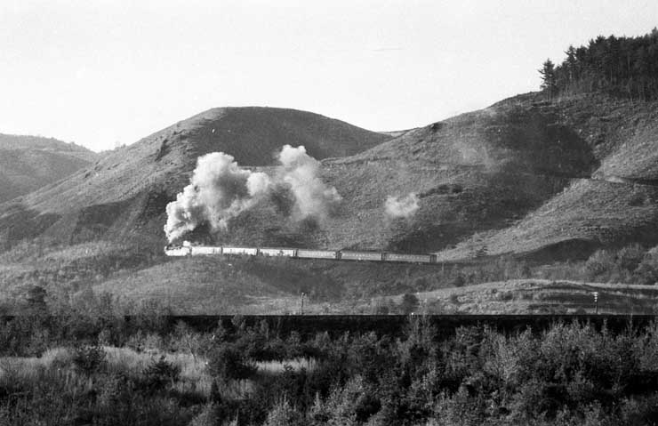 e0019563_20110127.jpg