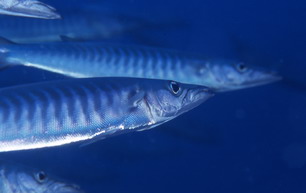 c0039073_22382265.jpg
