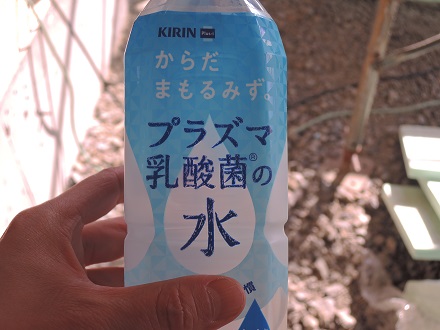 長坂町Y下さん邸の現場より 12_a0211886_11123091.jpg