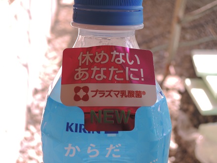 長坂町Y下さん邸の現場より 12_a0211886_11144263.jpg