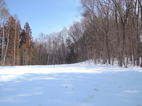 大雪のその後・・・^^;_a0211886_11523056.jpg