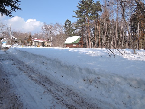 大雪のその後・・・^^;_a0211886_11542051.jpg