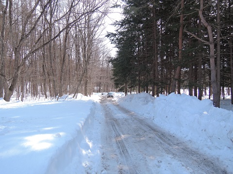 大雪のその後・・・^^;_a0211886_11555293.jpg