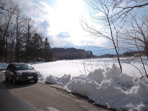 大雪のその後・・・^^;_a0211886_11574314.jpg