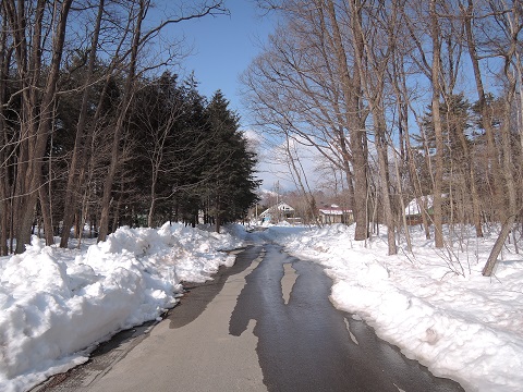 大雪のその後・・・^^;_a0211886_11592990.jpg