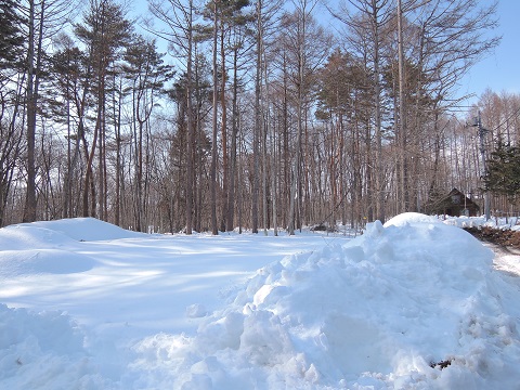 大雪のその後・・・^^;_a0211886_16553483.jpg