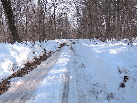大雪のその後・・・^^;_a0211886_16573155.jpg