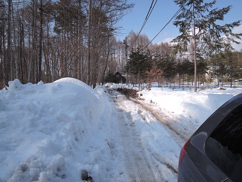 大雪のその後・・・^^;_a0211886_16591395.jpg