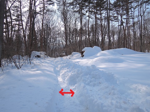 大雪のその後・・・^^;_a0211886_172147.jpg