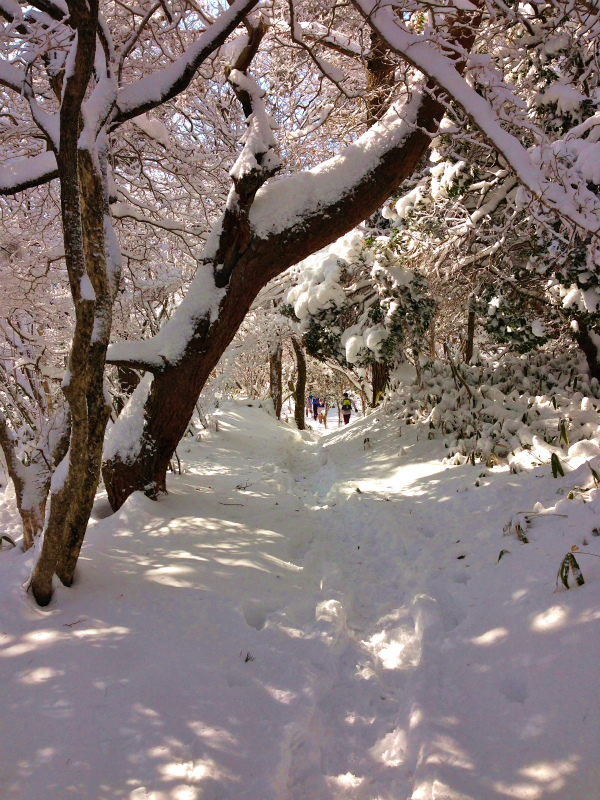 Sky Running Session in Mt.Rokko Day.2_b0220886_18533852.jpg