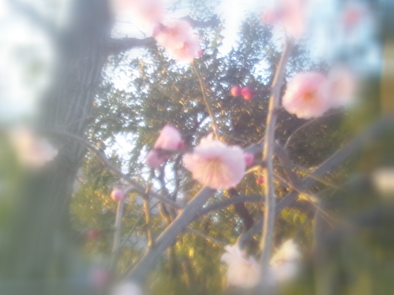 寒い中でも。_a0165892_105427.jpg