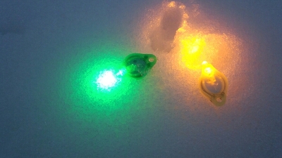 d0174598_8542818.jpg