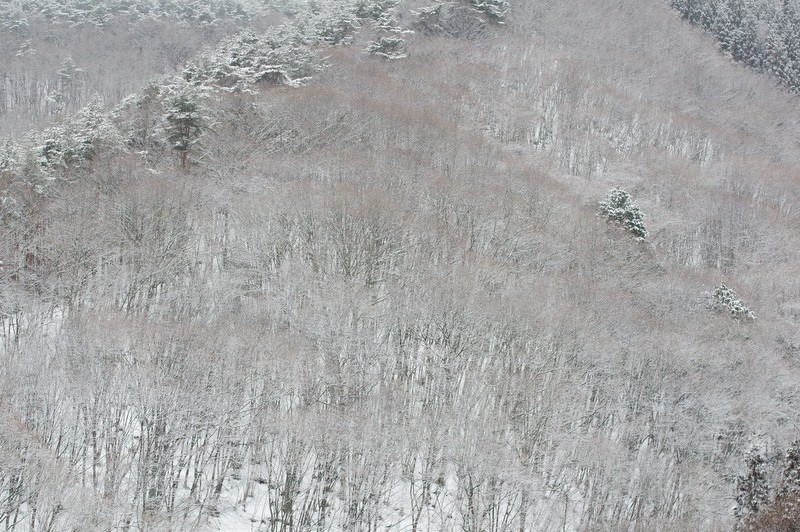 d0143700_013532.jpg