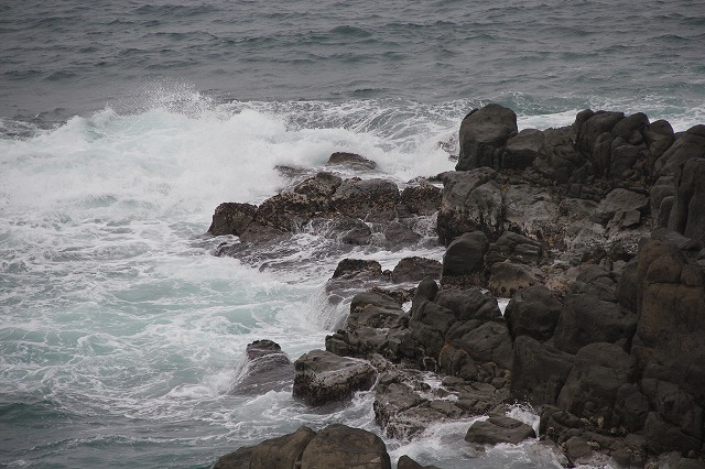 a0123003_8574767.jpg